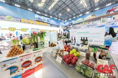 農高會淘寶攻略 一站式電子商務信息咨詢指南