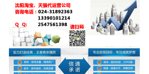沈陽電商代運營 一站式解決方案助力企業電子商務騰飛